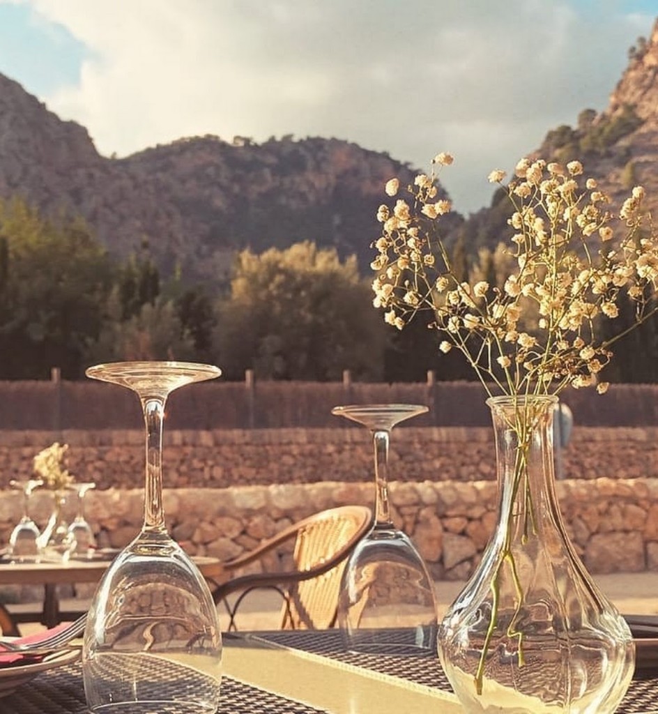Celebración y banquete al aire libre en La Mesón
